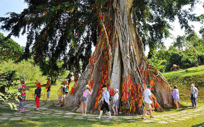 Tour tham quan và thưởng thức các dịch vụ hấp dẫn tại YangBay