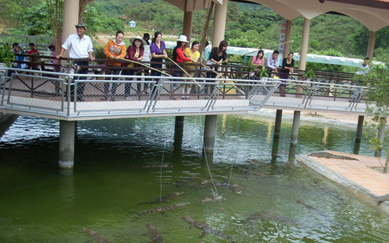 Câu cá sấu Yang Bay